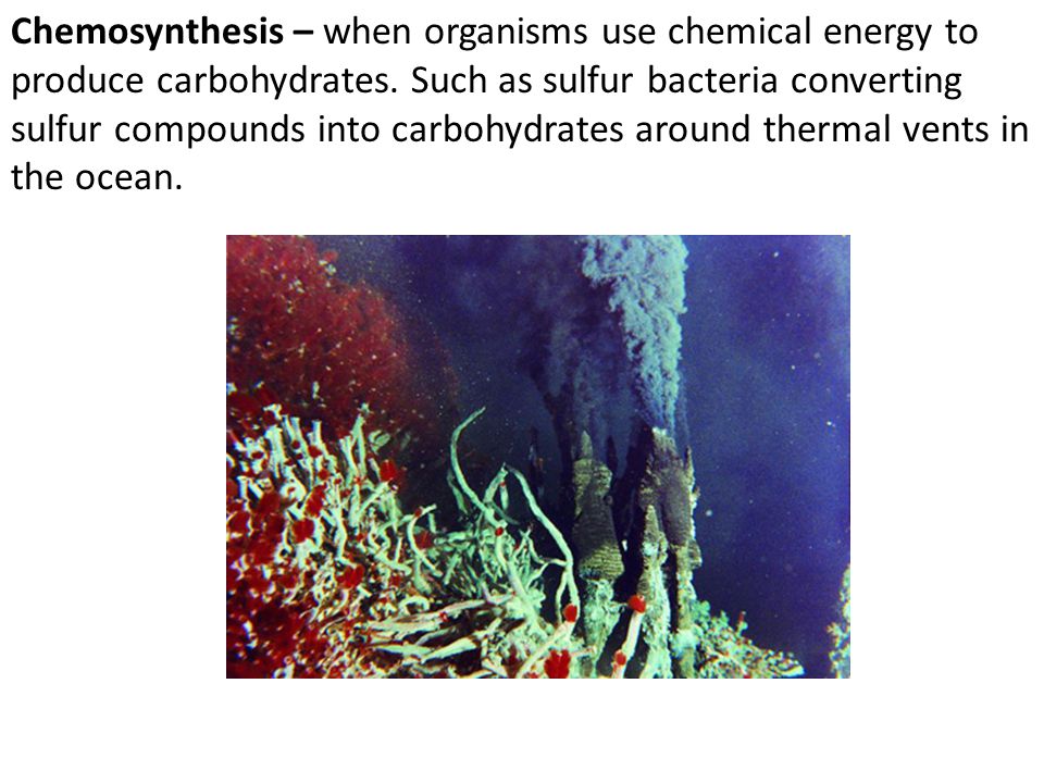 What organisms perform chemosynthesis and why?